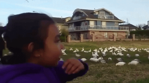 jasminegrujovski giphygifmaker girl chicken vine GIF