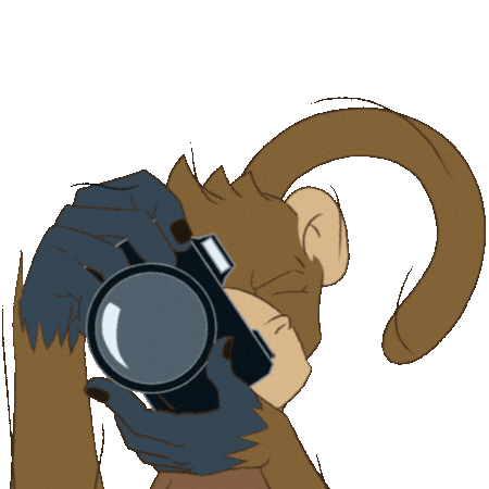 Photo Monkey Sticker by vrpixel communication agency
