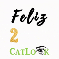 catlookbrowslashes 2022 lashes eyebrows brows GIF