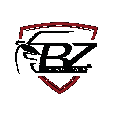 bzperformance giphygifmaker software tuning boost Sticker