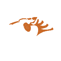 OSC_tigers_football tigers american football osnabrück osc tigers Sticker