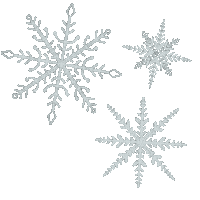 Snow Winter Sticker by KolibriDesign by Tamy