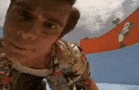 share create search ace discover GIF