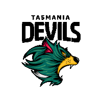 Australian Football League Afl Sticker by tasmaniafc