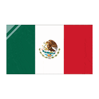 Mexico Bandera Sticker by eltorobravo
