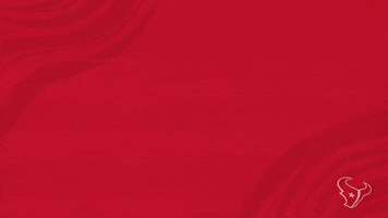 Nfl Drop Down GIF by Houston Texans