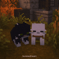 Me You Cats GIF
