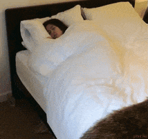 sad but true sleeping GIF