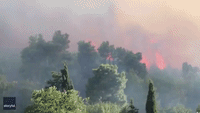 Wildfire Engulfs Forest Near the Birthplace of Olympic Games