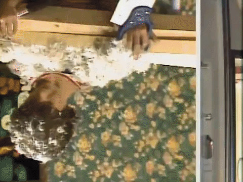 you cant do that on television nicksplat GIF