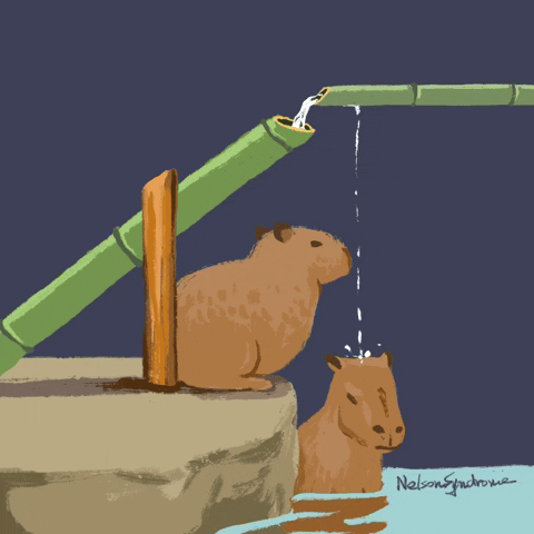 NelsonSyndrome 水豚 泡澡 打頭 GIF