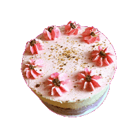 Birthday Cake Dessert Sticker by Noona's Ice Cream