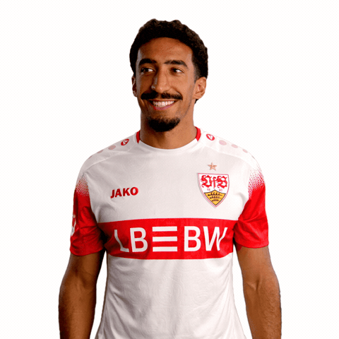 Focus Listening GIF by VfB Stuttgart 1893