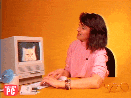 Cat Working GIF by GIFt Delivery