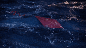 coldplay girl sad water life GIF