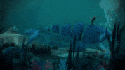 coldplay girl life sea sky GIF