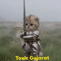 Cat Knight GIF