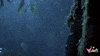 Jurassic Park GIF by Vidiots