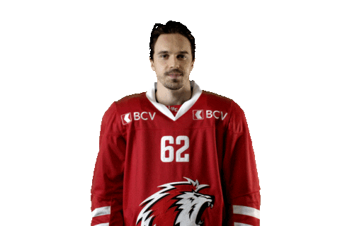 Lhc Lausannehc Sticker by Lausanne Hockey Club