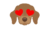 Love It Dachshund Sticker by zoopeez