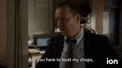 Blue Bloods GIF by ION