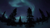 symphony for our world GIF by Nat Geo Wild 