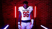 End Brooks GIF by Richmond Spiders