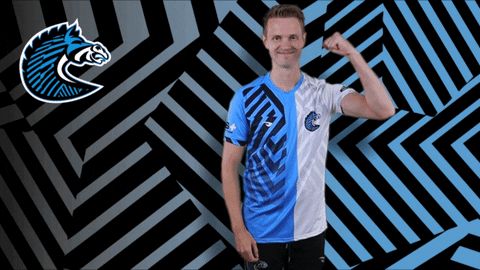 Sport GIF by BS+COMPETITION