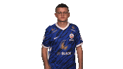 Hansa Rostock Fifa Sticker by Bundesliga