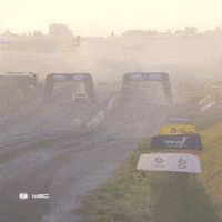 Head To Head Race GIF by FIA World Rally Championship