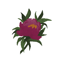 Japan Flowers Sticker