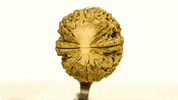 ok GIF by Digg