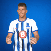 Football Bundesliga GIF by Hertha BSC