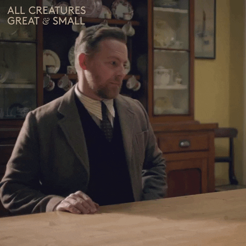 allcreaturestv animals tea cup mug GIF