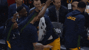 Lets Go Bench Celebration GIF by Utah Jazz