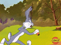 scared bugs bunny GIF by Looney Tunes