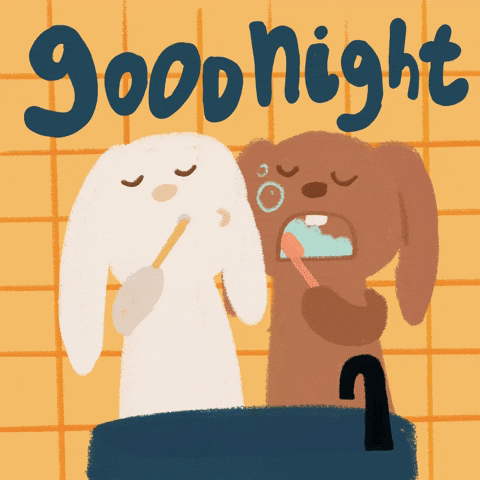 Good Night Couple GIF by stopmotreats
