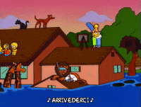 homer simpson GIF