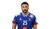 France Hand Sticker by EHF
