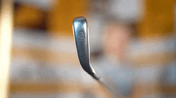 Loyola Chicago GIF by LoyolaRamblers