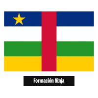 Central African Republic Flag Sticker by Formación Ninja