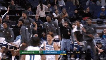 Excited Minnesota Timberwolves GIF by NBA