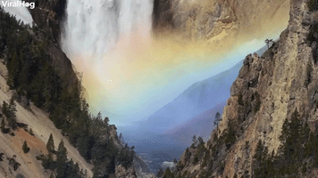 Beautiful Rainbow On The Falls of Yellowstone