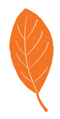 Fall Autumn Sticker by Daniela Nachtigall