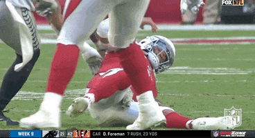 Arizona Cardinals Football GIF by NFL