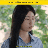 Akcent48 GIF