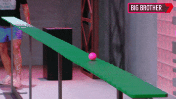 Big Brother Win GIF by Big Brother Australia