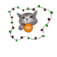 Cat Christmas Sticker by IAMS Deutschland