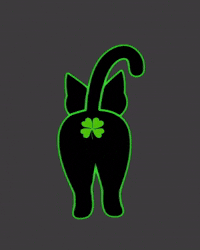 Black Cat GIF