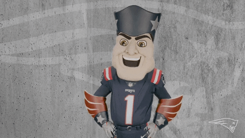 Football Reaction GIF by New England Patriots